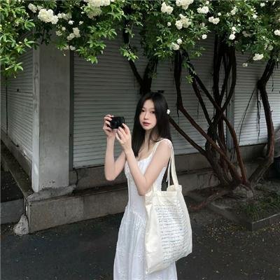 暴风雪中的白鸟